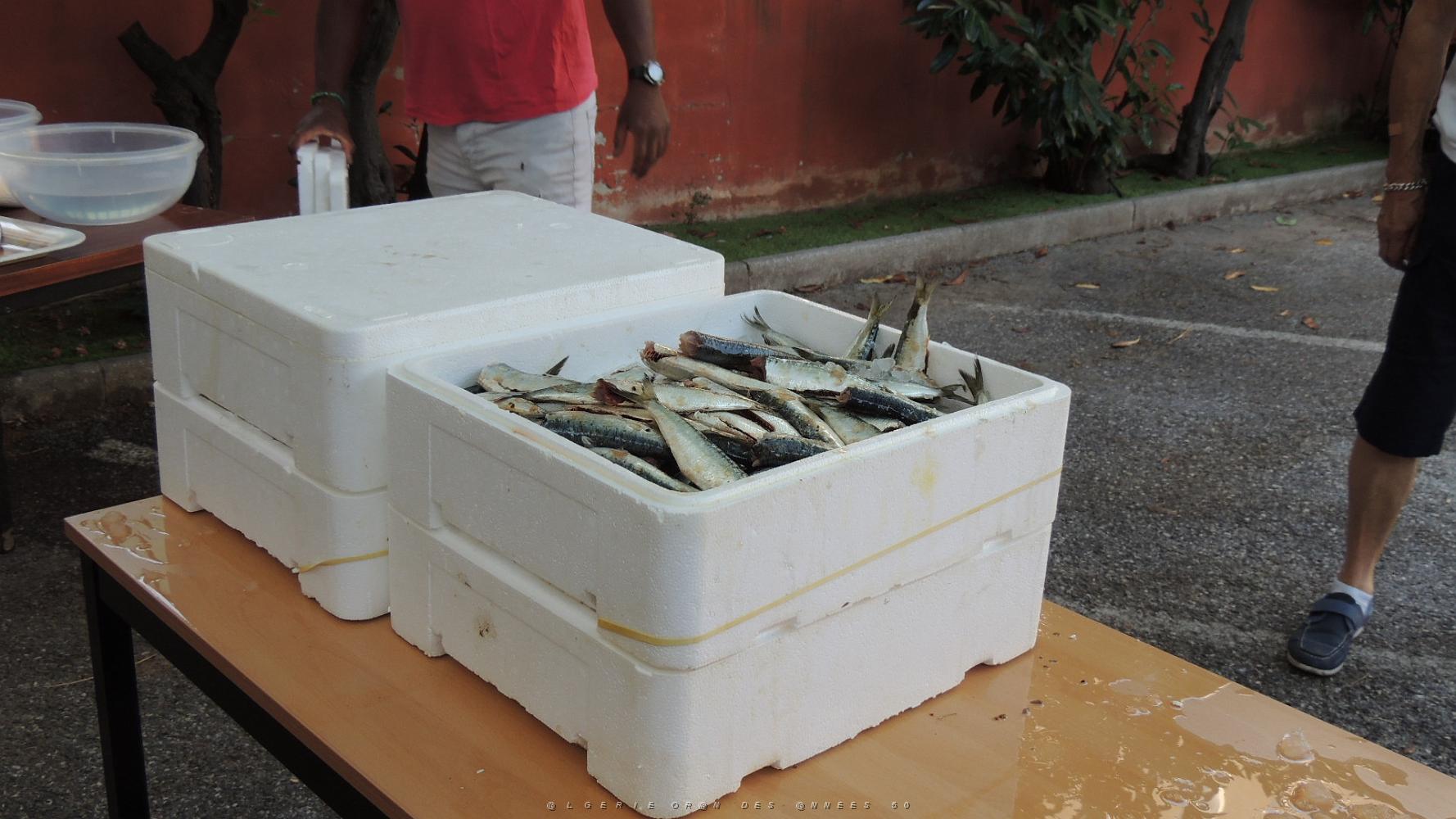 2023 07 22 TOULON SARDINADE (15).JPG -           